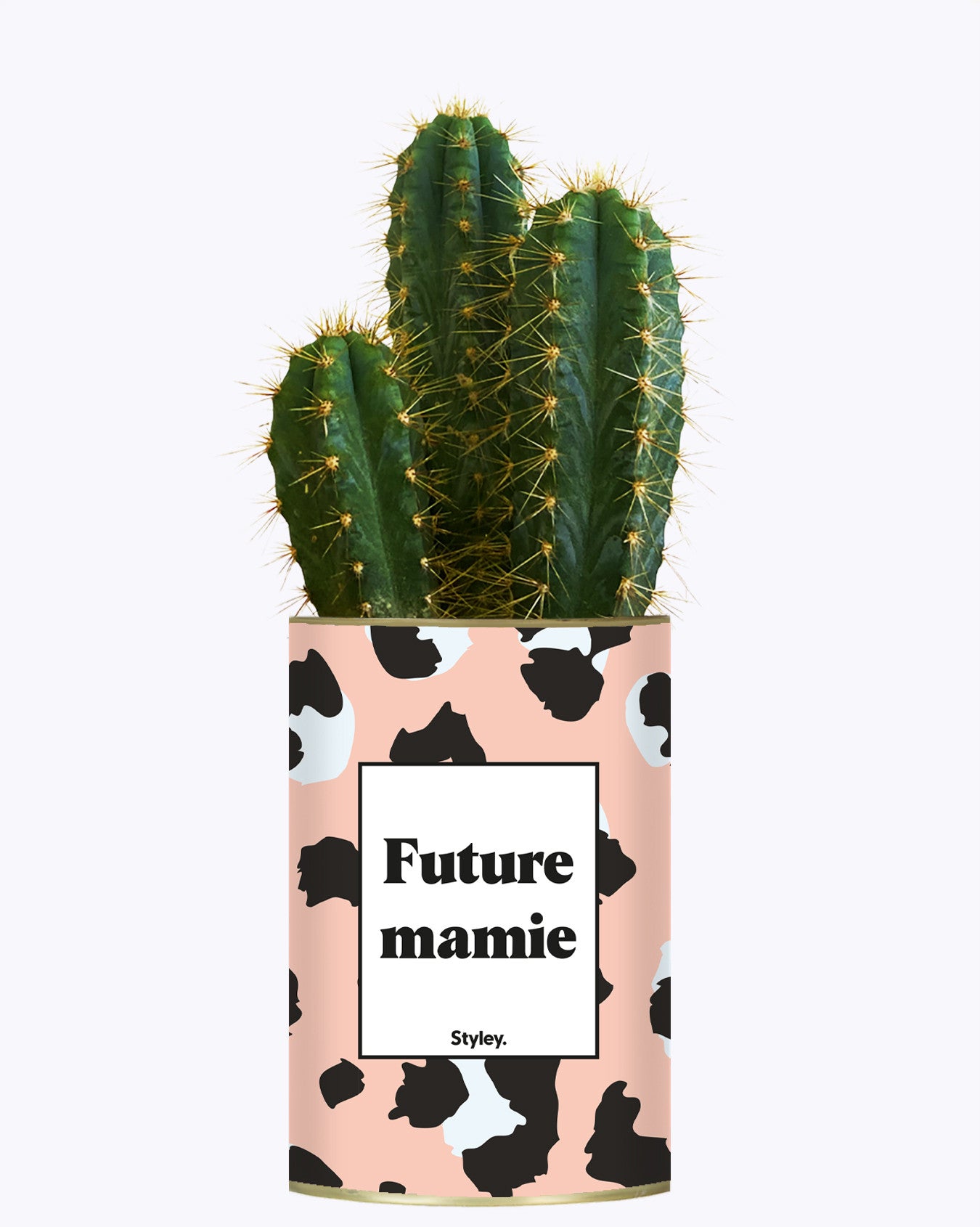 Future mamie - Plante