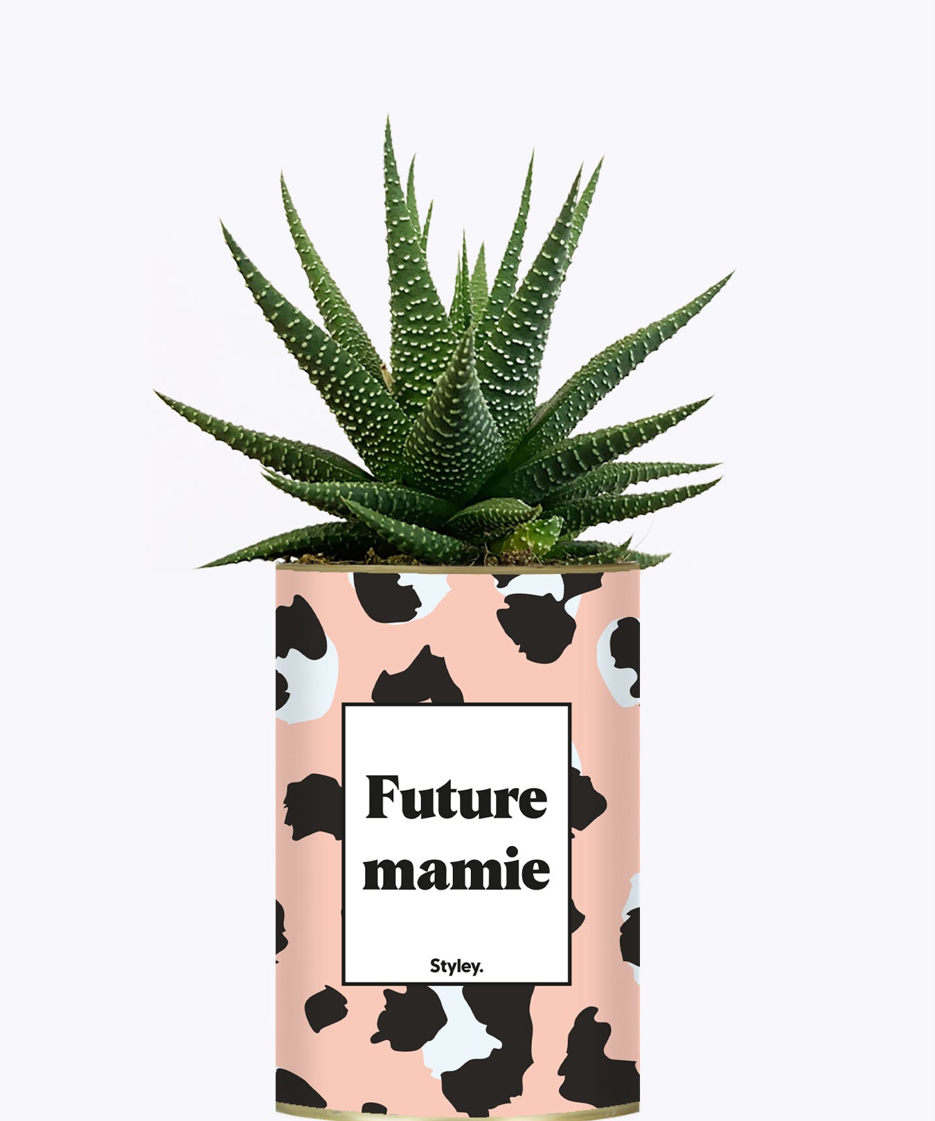 Future mamie - Plante