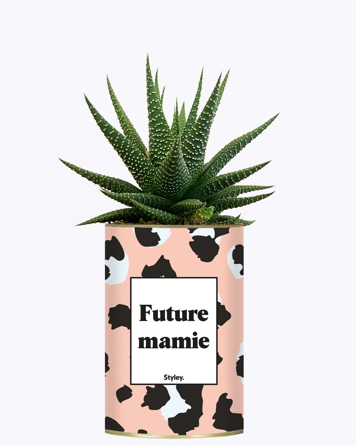 Future mamie - Plante