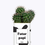 Futur papi - Plante