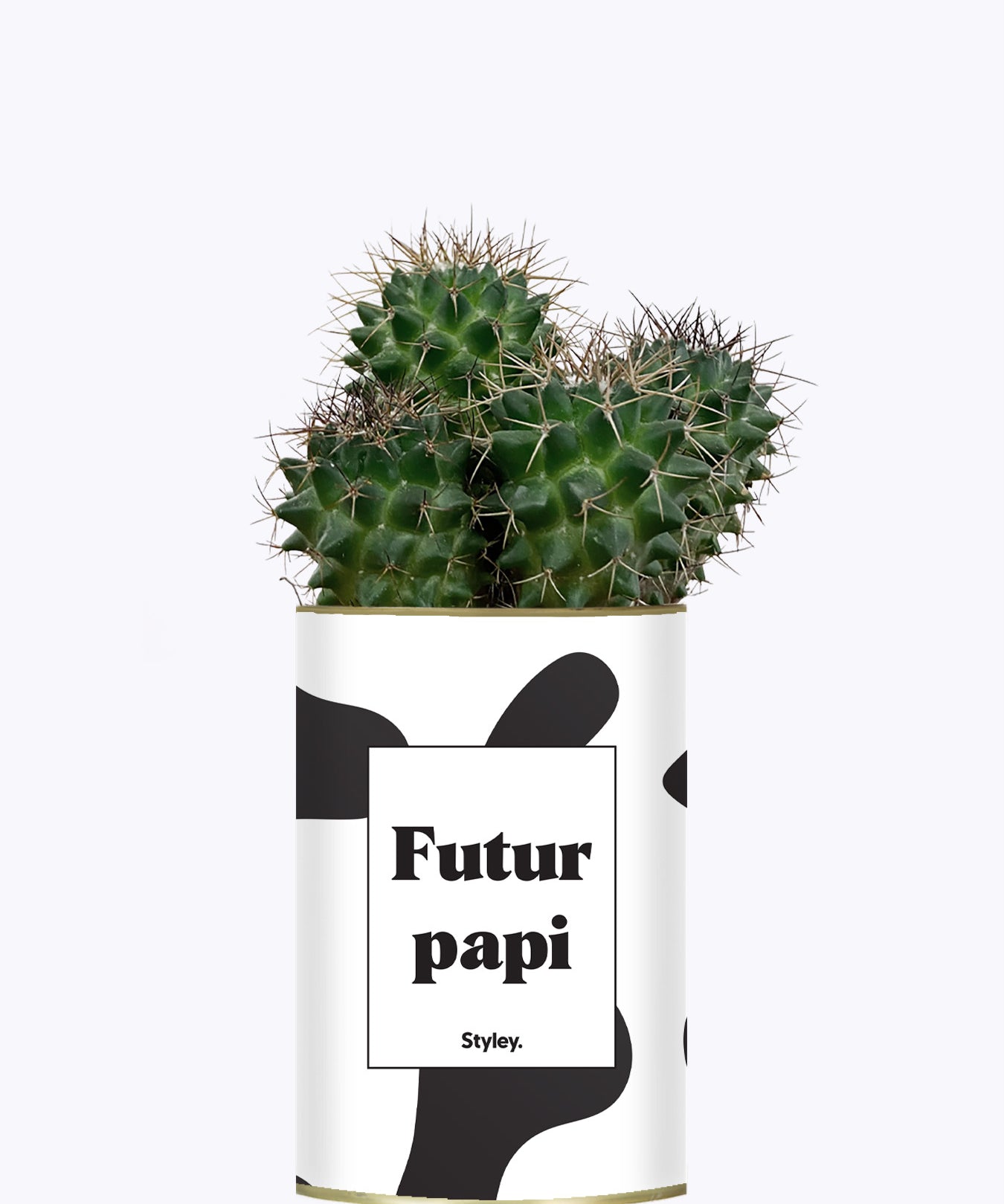 Futur papi - Plante