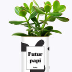 Futur papi - Plante