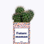 Future maman - Plante