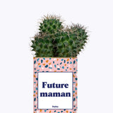 Future maman - Plante
