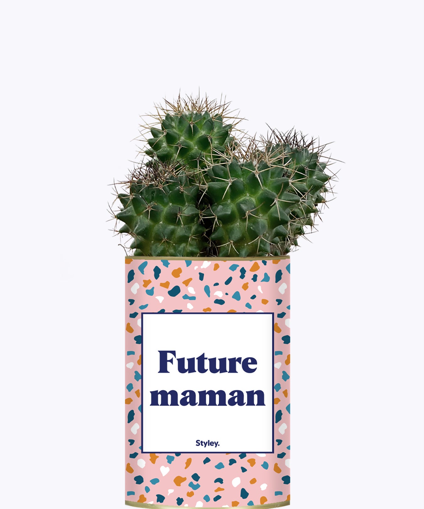 Future maman - Plante