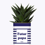 Futur papa - Plante