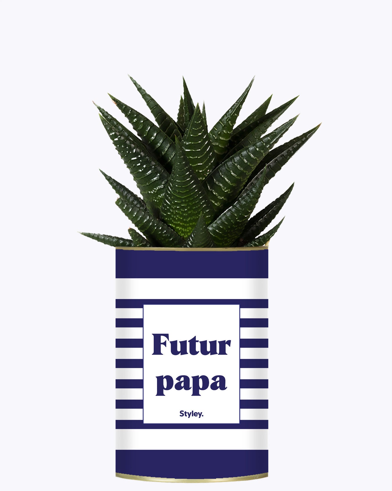 Futur papa - Plante