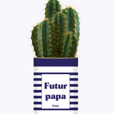 Futur papa - Plante