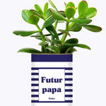 Futur papa - Plante