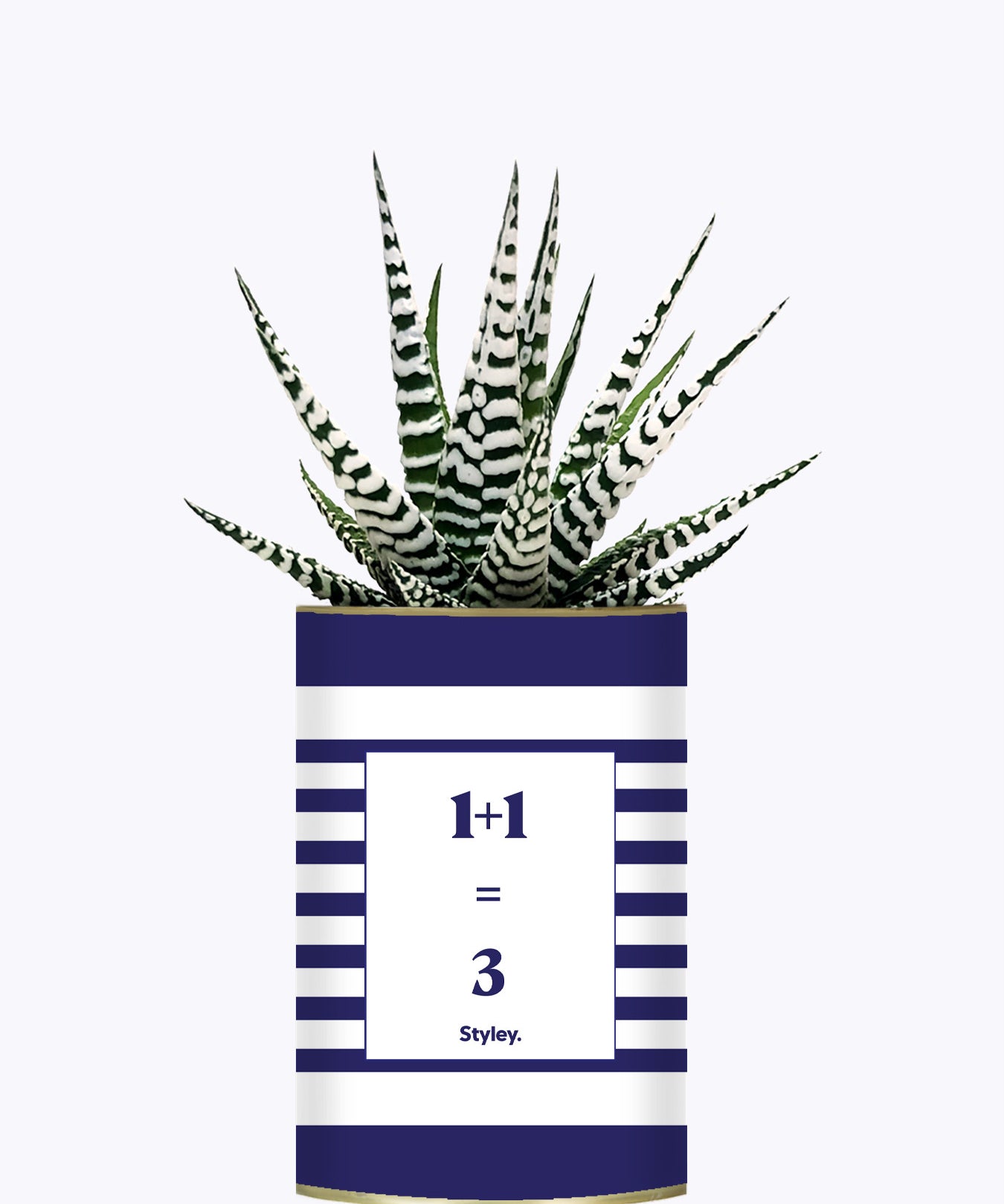 1 plus 1 égal 3 - Plante