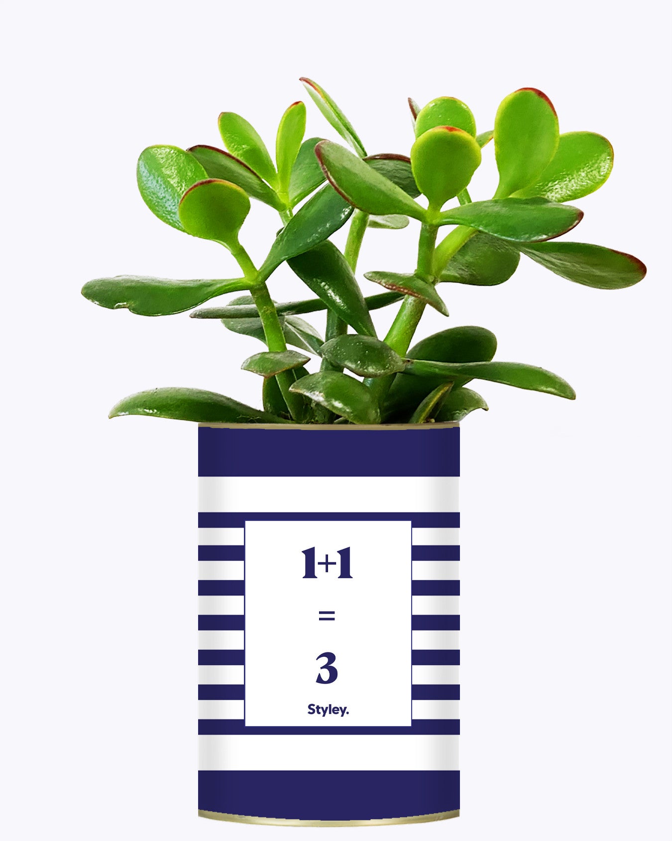 1 plus 1 égal 3 - Plante