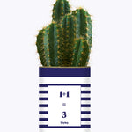 1 plus 1 égal 3 - Plante