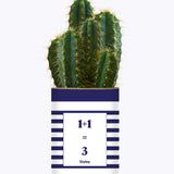 1 plus 1 égal 3 - Plante
