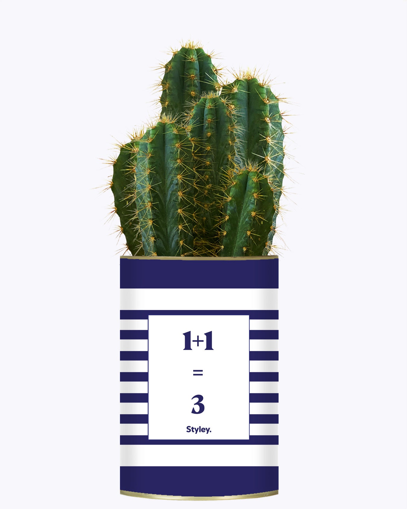 1 plus 1 égal 3 - Plante