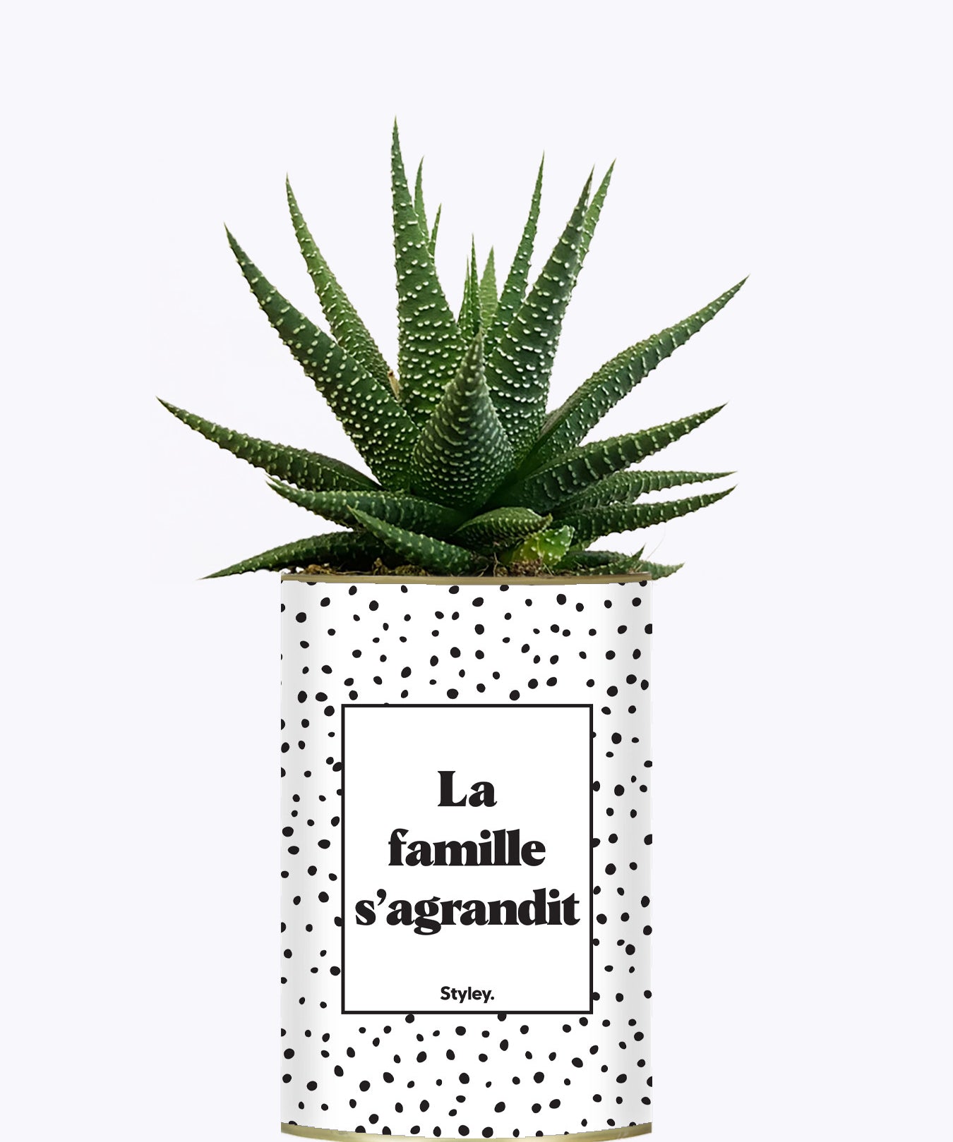 La famille s'agrandit - Plante