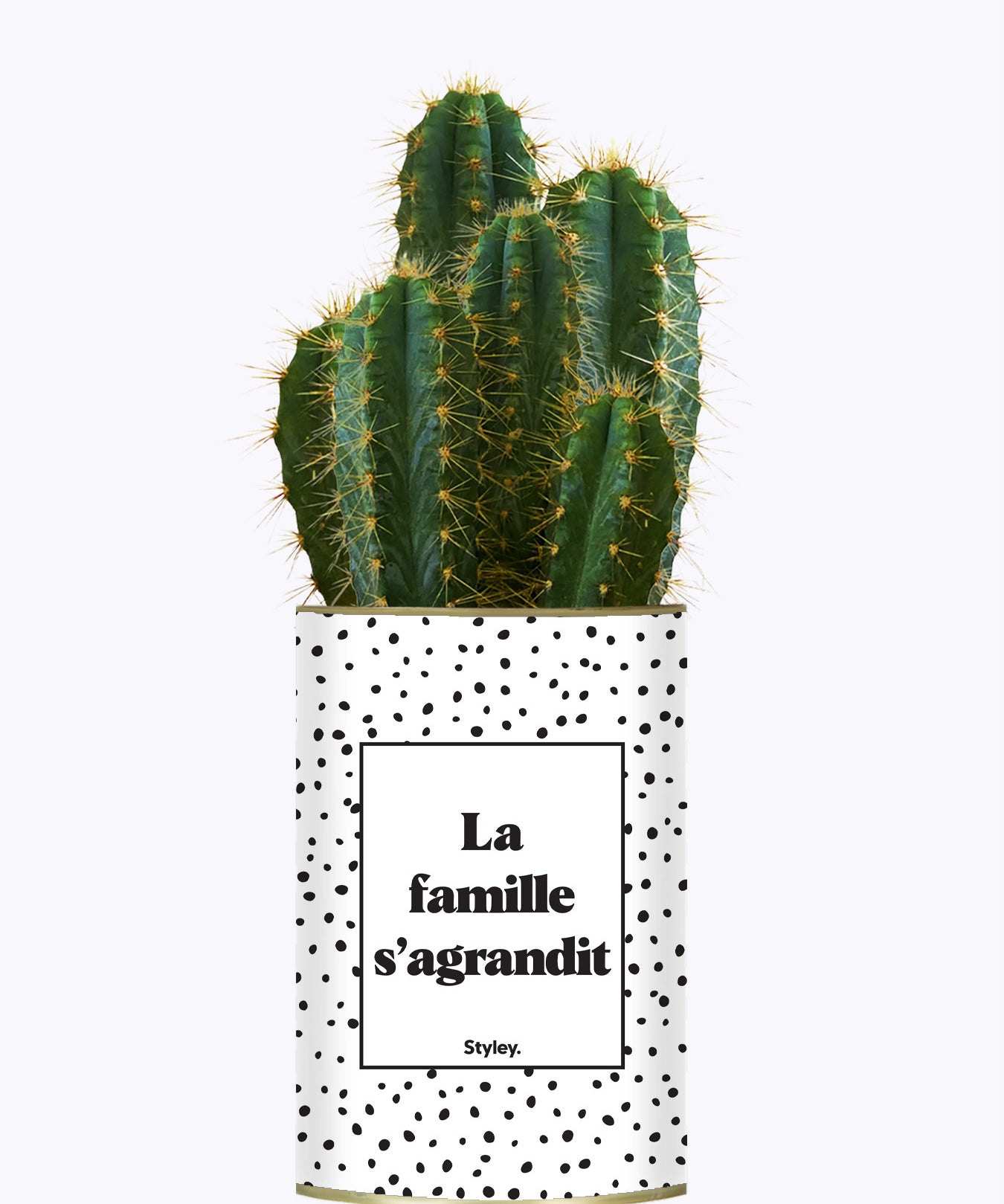 La famille s'agrandit - Plante