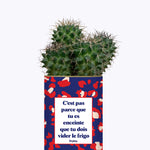 C'est pas parce que tu es enceinte que tu dois vider le frigo - Plante