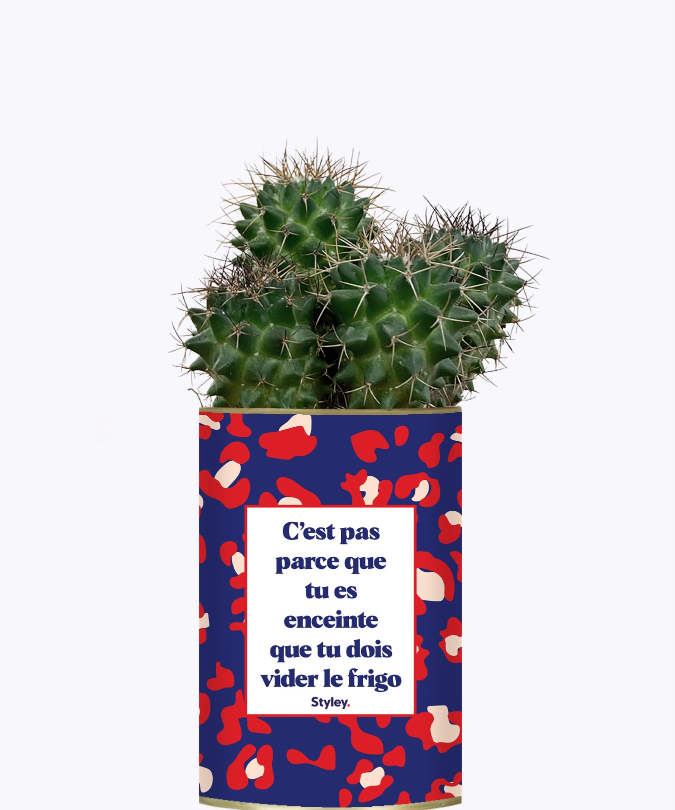 C'est pas parce que tu es enceinte que tu dois vider le frigo - Plante