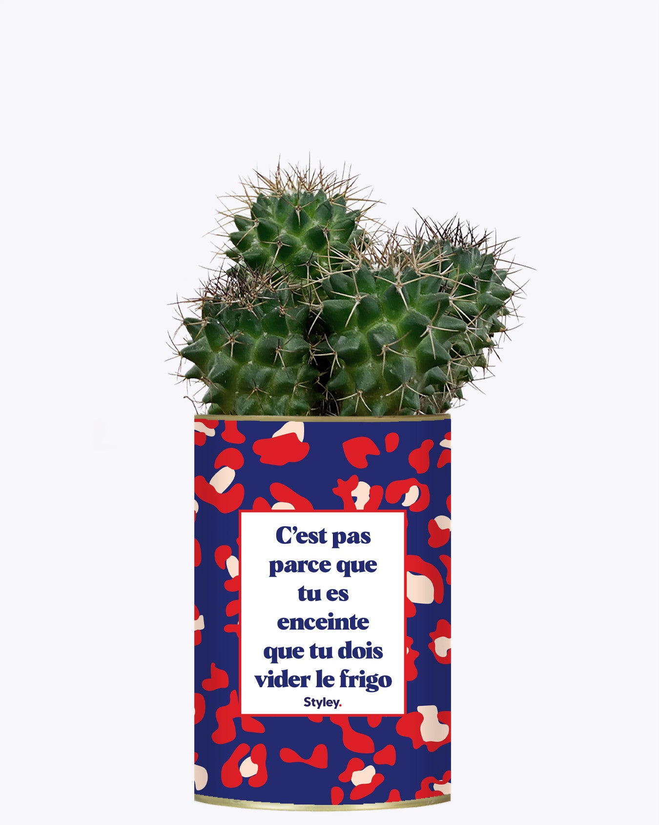 C'est pas parce que tu es enceinte que tu dois vider le frigo - Plante