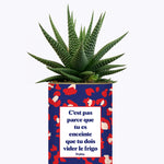 C'est pas parce que tu es enceinte que tu dois vider le frigo - Plante