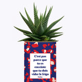 C'est pas parce que tu es enceinte que tu dois vider le frigo - Plante