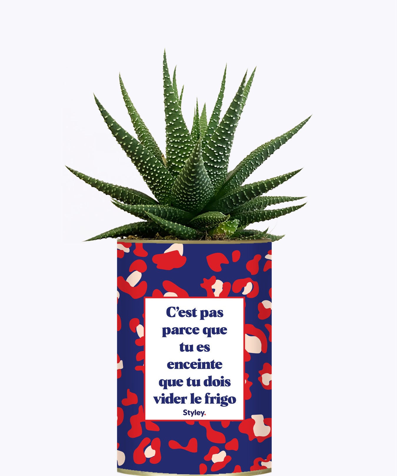 C'est pas parce que tu es enceinte que tu dois vider le frigo - Plante