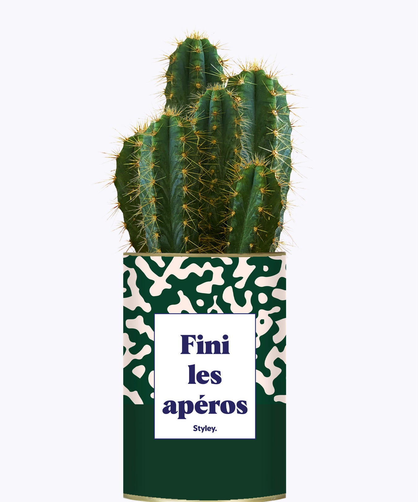 Fini les apéros - Plante