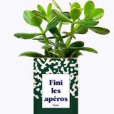 Fini les apéros - Plante