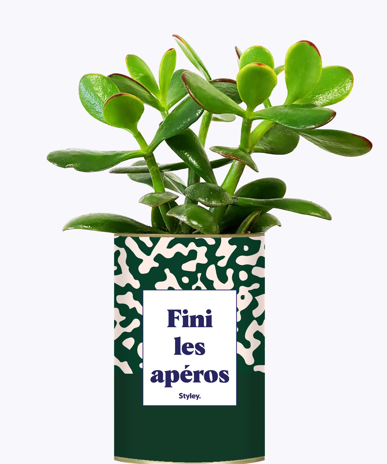 Fini les apéros - Plante