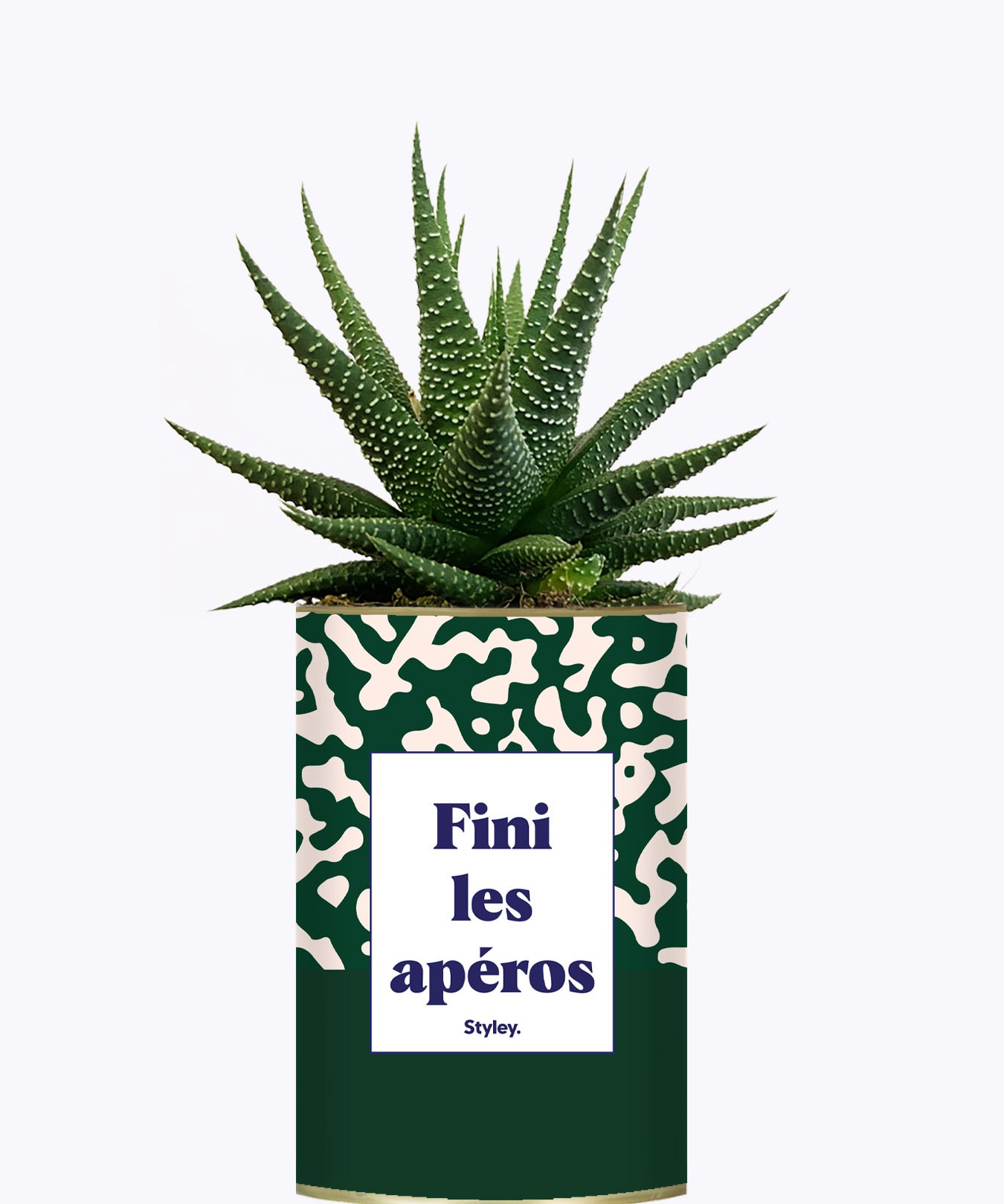 Fini les apéros - Plante
