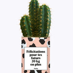 Félicitations pour tes futurs 20kg en plus - Plante