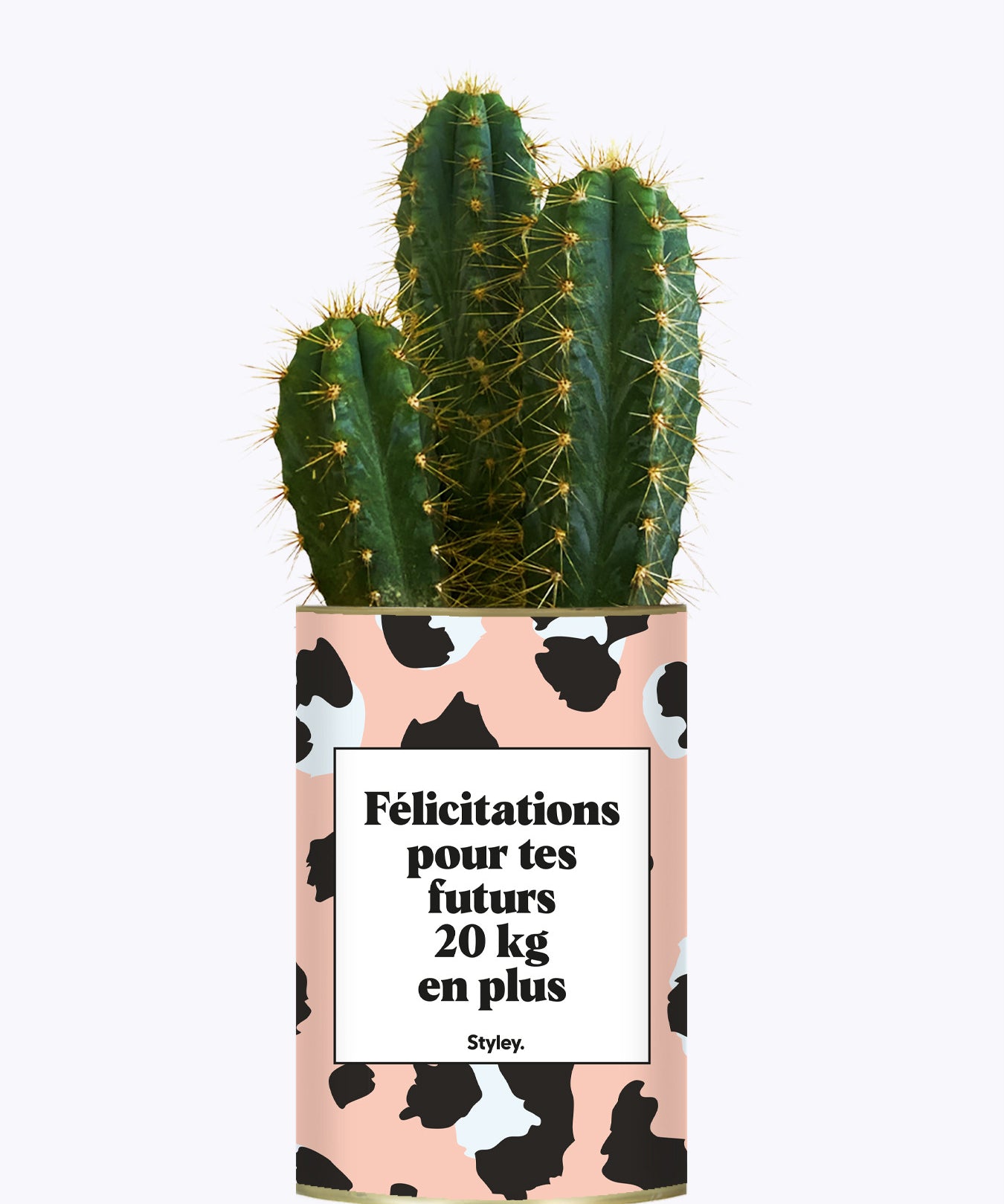 Félicitations pour tes futurs 20kg en plus - Plante