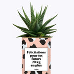 Félicitations pour tes futurs 20kg en plus - Plante