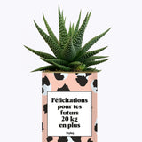 Félicitations pour tes futurs 20kg en plus - Plante