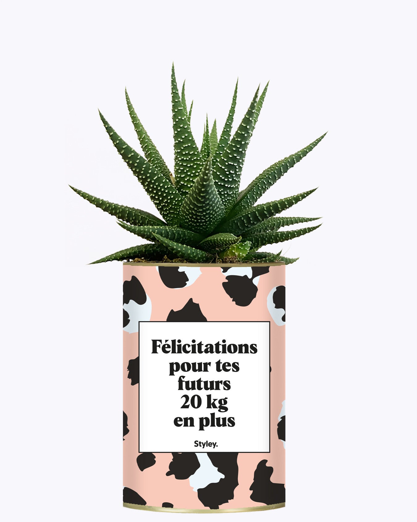 Félicitations pour tes futurs 20kg en plus - Plante