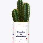 Dis adieu au champagne - Plante