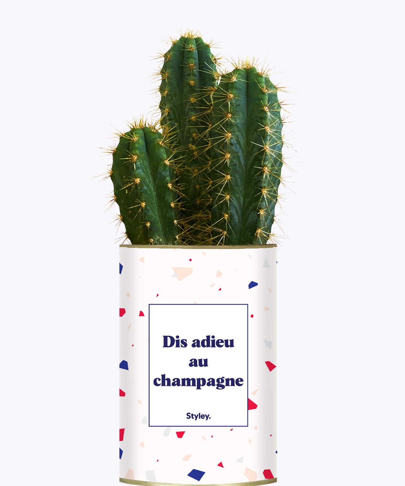 Dis adieu au champagne - Plante