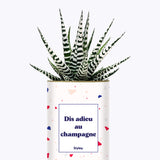 Dis adieu au champagne - Plante