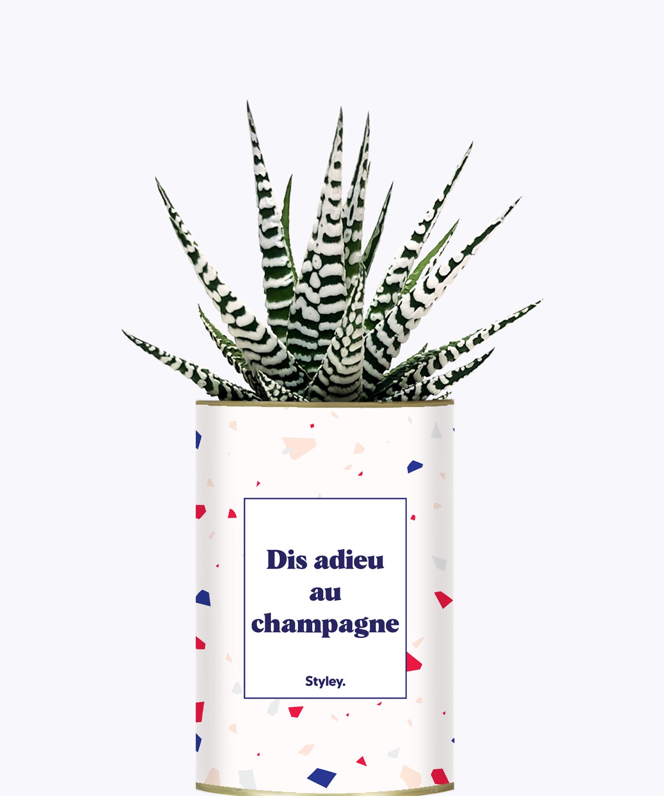 Dis adieu au champagne - Plante