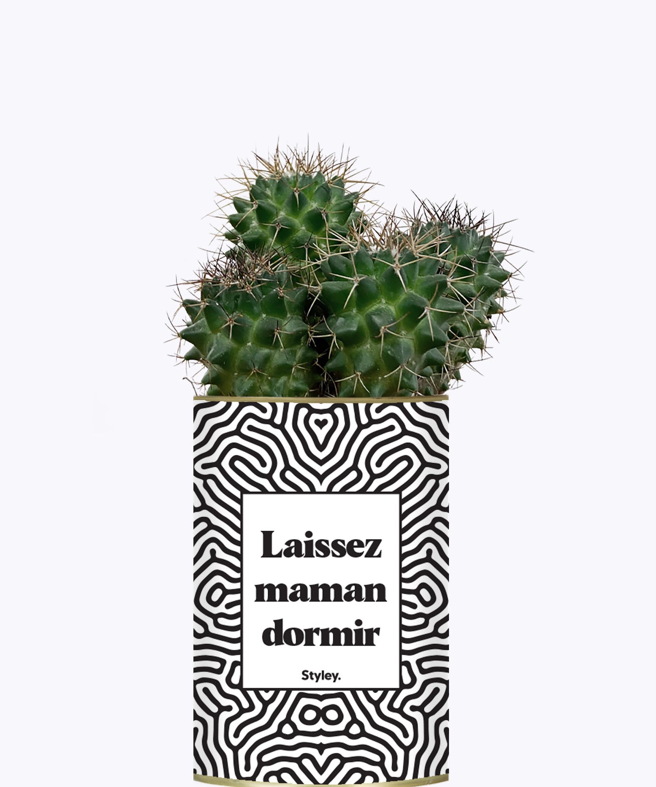 Laissez maman dormir - Plante