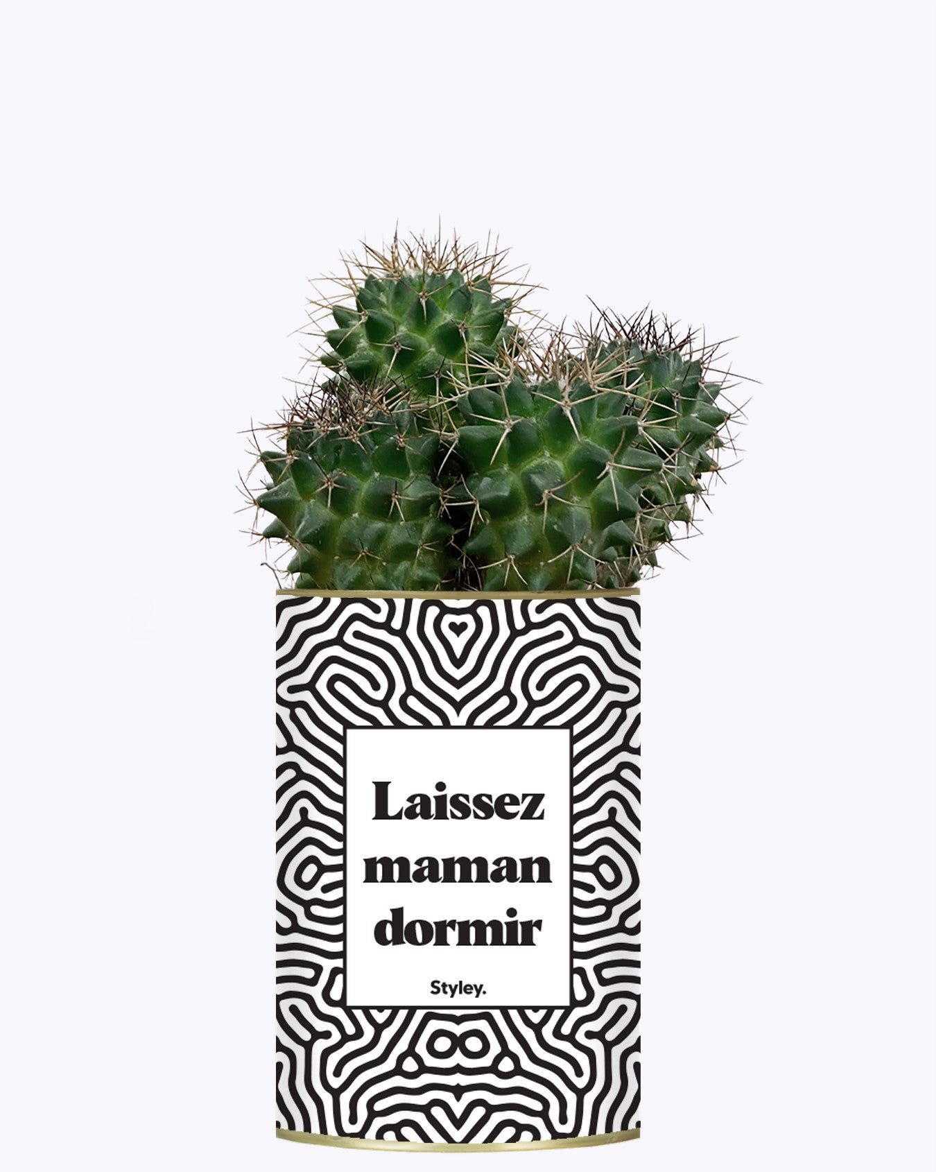 Laissez maman dormir - Plante