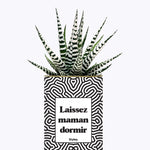 Laissez maman dormir - Plante