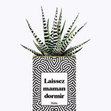 Laissez maman dormir - Plante
