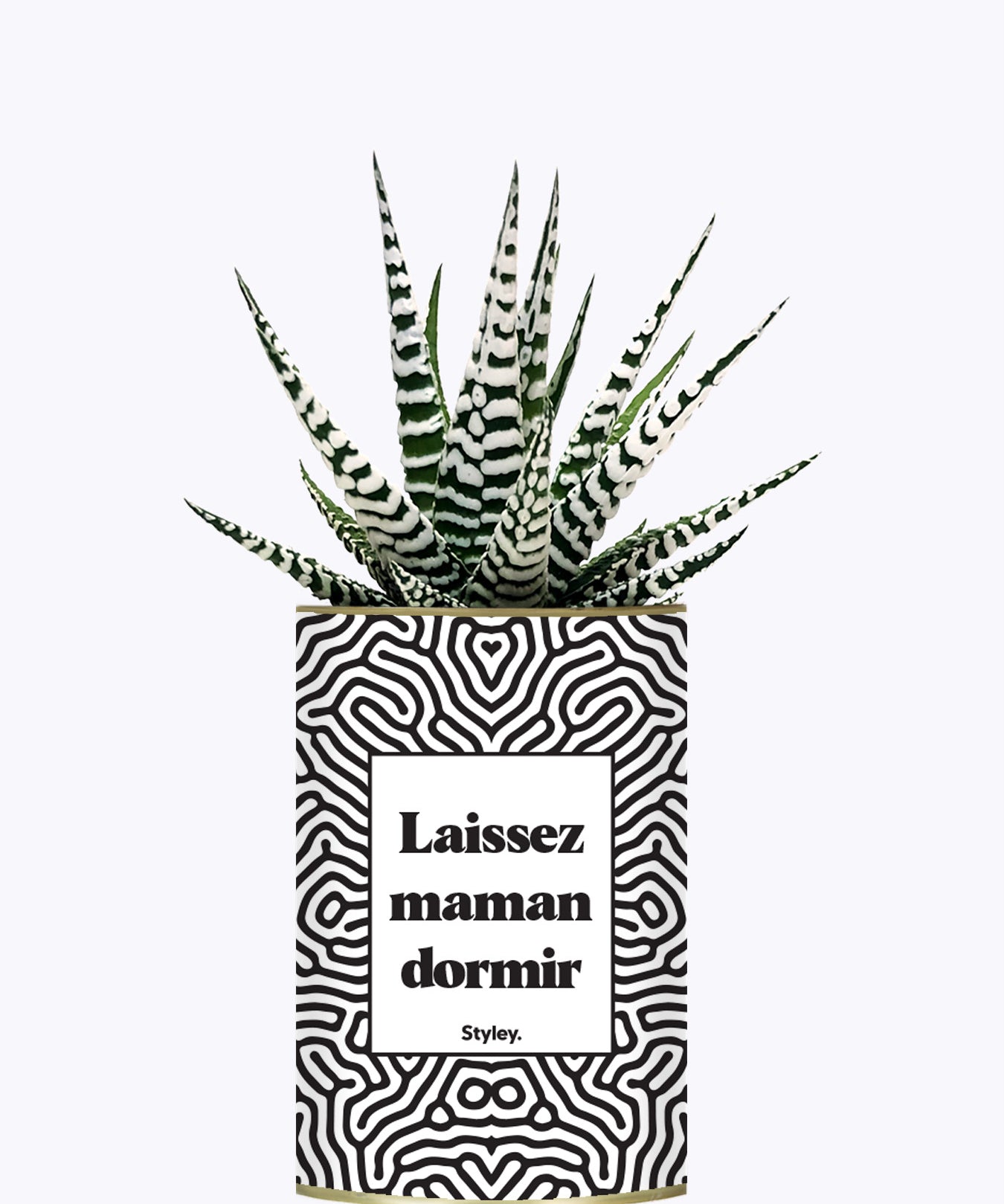 Laissez maman dormir - Plante
