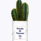 Putain d'astro - Plante zodiac