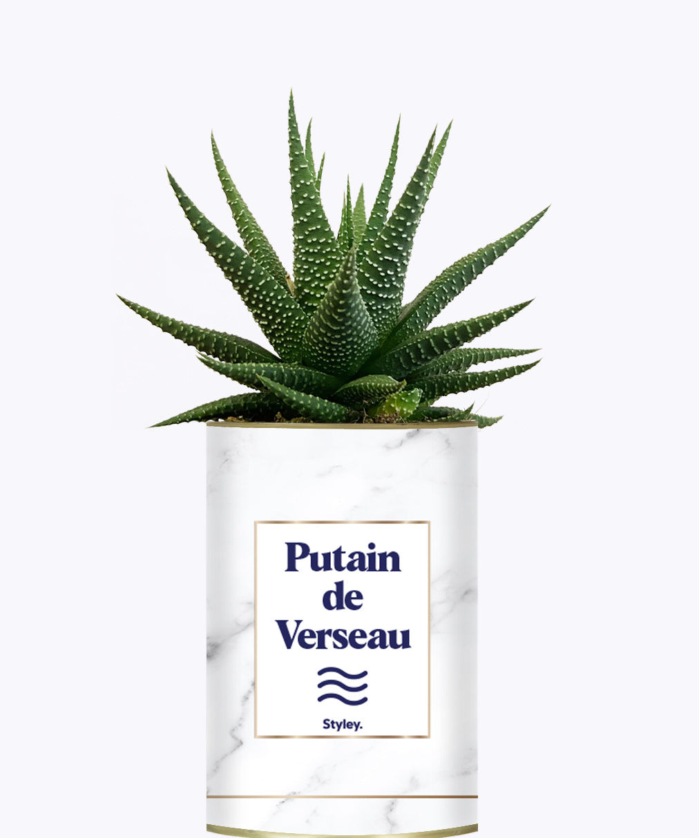 Putain d'astro - Plante zodiac