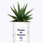 Putain d'astro - Plante zodiac
