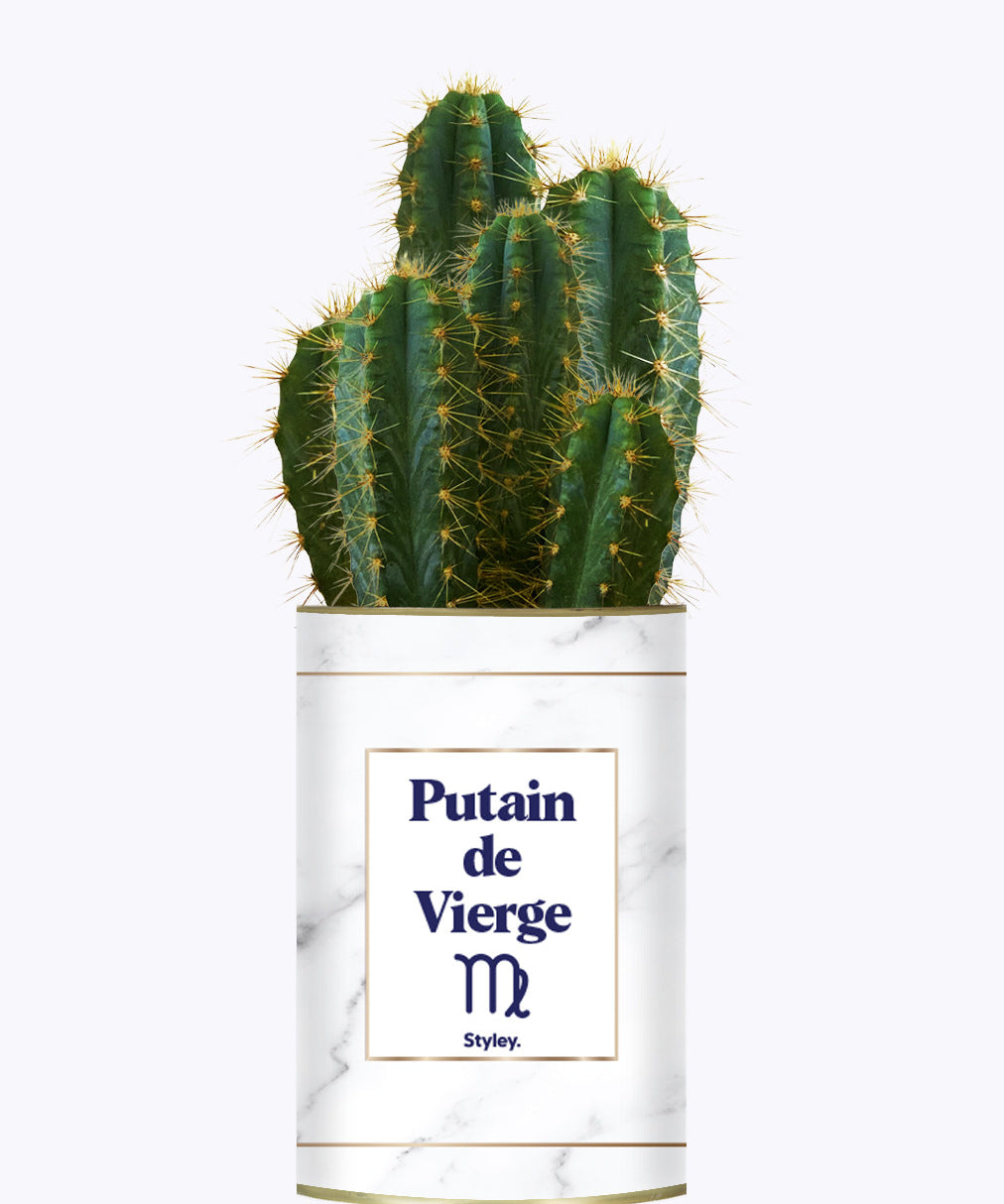 Putain d'astro - Plante zodiac