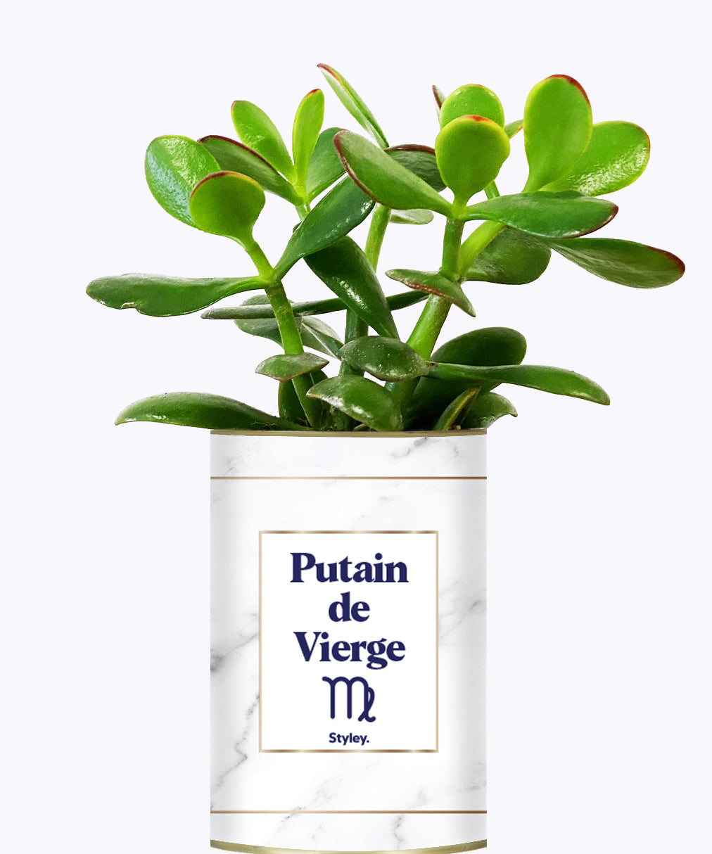 Putain d'astro - Plante zodiac