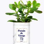 Putain d'astro - Plante zodiac